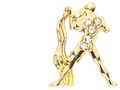 Ramalan Kartu Tarot Zodiak Aquarius Tahun 2020