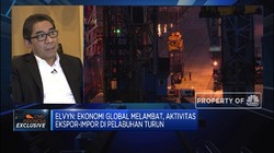 Transhipment, Strategi Pelindo II Dorong Aktivitas Pelabuhan