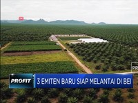 Inilah Tiga Emiten Baru yang Siap Melantai di BEI