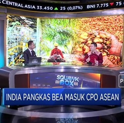 Analisis Dampak Kebijakan India Pangkas Bea Masuk CPO ASEAN