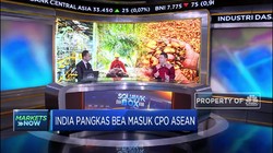 Analisis Dampak Kebijakan India Pangkas Bea Masuk CPO ASEAN