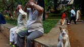 Seekor kucing duduk di sebelah para pria yang berlatih yoga di dalam taman di Mumbai pada Rabu (25/12). (Photo by Indranil MUKHERJEE / AFP)