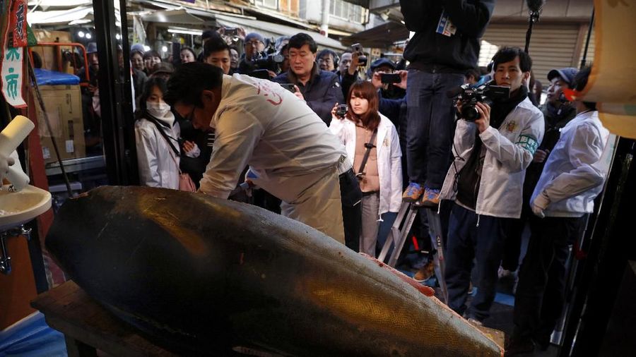 Ikan tuna seberat 276 kg terjual senilai 193,2 juta yen atau US$ 1,8 juta atau seharga Rp 25 Miliar.