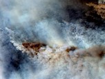 Intip Dahsyatnya Kebakaran Hutan Australia dari Luar Angkasa