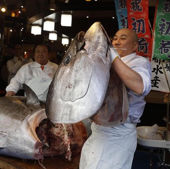 Gokil! Ikan Tuna Laku Terjual Rp 25 Miliar