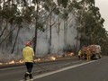 3 Ribu Tentara Cadangan Australia Bantu Atasi Kebakaran Hutan
