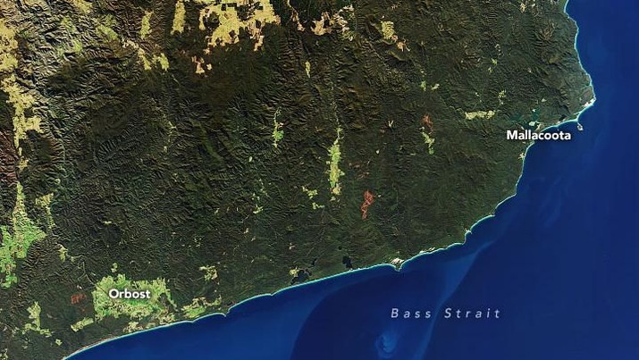 Kebakaran Hutan Australia (NASA Earth Observatory images by Joshua Stevens)