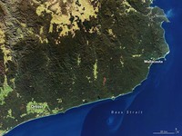 Astronaut Sedih Lihat Kondisi Bumi dari Antariksa, Ada Apa?