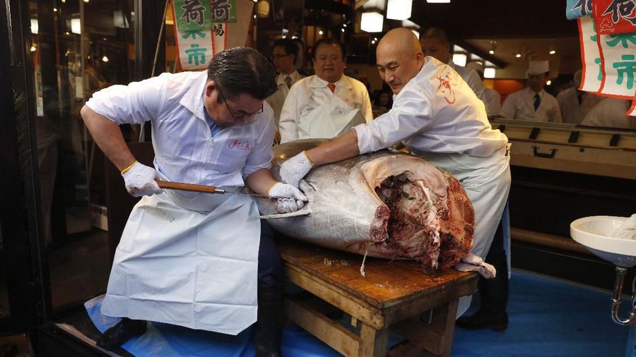A sushi chef holds up the head of a bluefin tuna at a restaurant in Tsukji market area in Tokyo, Sunday, Jan. 5, 2020, after it was sold at the first auction of 2020 at Tokyo's Toyosu fish market. The tuna was sold 193.2 million yen (1.8 million US dollars) Sunday.(AP Photo/Jae C. Hong)