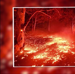 Hutan Australia Darurat Kebakaran, Ini Langkah Morrison
