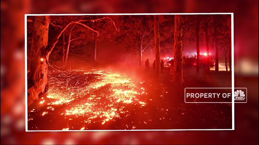 Kebakaran besar yang tengah terjadi juga telah merenggut nyawa seorang petugas pemadam kebakaran di Victoria.