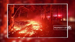 Potret Kebakaran Hutan yang Menerpa Australia