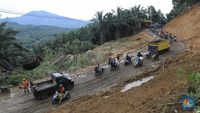 Banjir! BNPB: Ada Penebangan Pohon & Tambang Ilegal Di Bogor