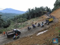 Banjir! BNPB: Ada Penebangan Pohon & Tambang Ilegal di Bogor