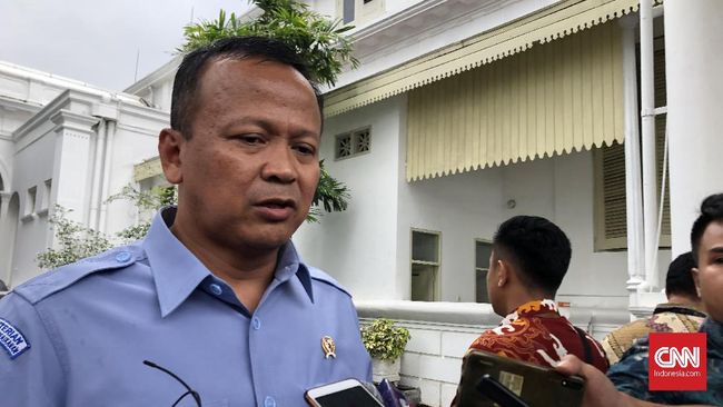 Edhy Sebut Larangan Jual Baby Lobster Kriminalisasi Nelayan