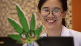 Penelitian medis menunjukkan bahwa minyak ganja dapat membantu meringankan rasa sakit pasien multiple sclerosis dan epilepsi, tetapi ilmu pengetahuan tidak mengetahui dampaknya pada penyakit serius lainnya termasuk berbagai bentuk kanker. (Mladen ANTONOV / AFP)