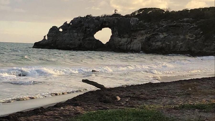 This Jan. 27, 2019 photo courtesy of Edgar Gracia shows 