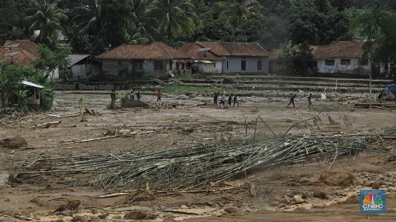 Kampung Sinar Harapan, Desa Harkat Jaya, menjadi salah satu kampung yang terparah di wilayah tersebut.
