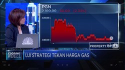 Kadin Apresiasi 3 Opsi Jokowi Atasi Mahalnya Harga Gas