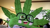 Sebuah klinik medis di Bangkok menawarkan minyak ganja gratis kepada ratusan warga Thailand yang mencari bantuan untuk obat kanker, insomnia, dan nyeri otot. (Mladen ANTONOV / AFP)