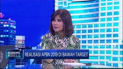 Realisasi Pajak 2019 di Bawah Target, Ini Pandangan Ekonom
