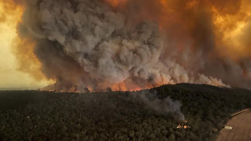 Musibah kebakaran hutan yang menewaskan jutaan hewan & menelan 25 korban jiwa menarik simpatik dunia, termasuk kalangan selebritis global