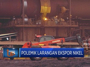 Indonesia Siap Hadapi Gugatan dari Uni Eropa di WTO