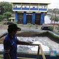 Waspada Banjir, Pemprov DKI Siagakan 470 Unit Pompa