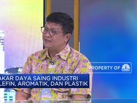 Tolong, Industri Petrokimia RI Terjepit Harga Gas!