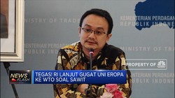 Tegas! RI lanjut Gugat Uni Eropa Ke WTO Soal Sawit