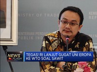 Tegas! RI lanjut Gugat Uni Eropa Ke WTO Soal Sawit