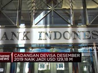 Cadev RI Desember Meningkat Jadi USD 129,2 M