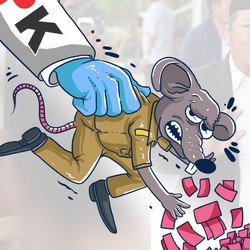 Jokowi Pecat Komisioner KPU, Siapa Penggantinya?