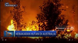Status Darurat Kebakaran Hutan Australia Diperpanjang