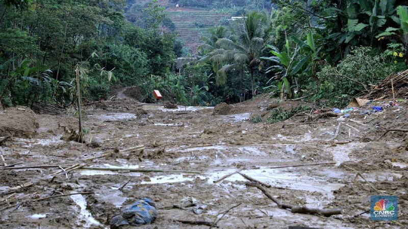 Selain tiga korban, 19 rumah milik warga di Kampung Sinar Harapan juga terkubur material longsor dari Bukit Tajur yang berada tepat di belakang kampung.