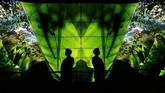 Seorang pria dengan sigap menjaga keamanan pameran elektronik CES 2020. (AP Photo/John Locher)