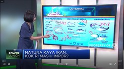 Natuna Kaya Ikan, Kok RI Masih Impor?