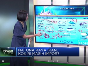 Natuna Kaya Ikan, Kok RI Masih Impor?