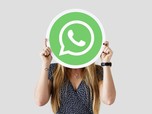 WhatsApp Dark Mode Android & iPhone Rilis, Netizen: Finally