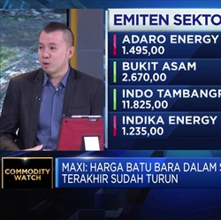 Analis: Jangka Panjang, Tren Harga Batu Bara Cenderung Turun