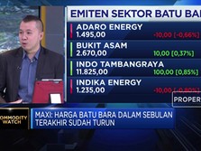 Analis: Jangka Panjang, Tren Harga Batu Bara Cenderung Turun