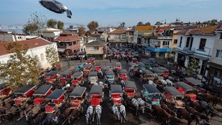 FOTO: Kereta Kuda di Turki Diambang Kematian