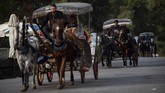 Warga Turki menggantungkan hidupnya pada kuda-kuda peliharan mereka. (Photo by Yasin AKGUL / AFP)