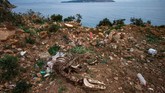 Sisa-sisa tulang-belulang kuda ditemukan di pulau Buyukada, Istanbul. (Photo by Yasin AKGUL / AFP)