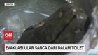 VIDEO: Ular Sanca 3 Meter Dievakuasi Dari Dalam Toilet