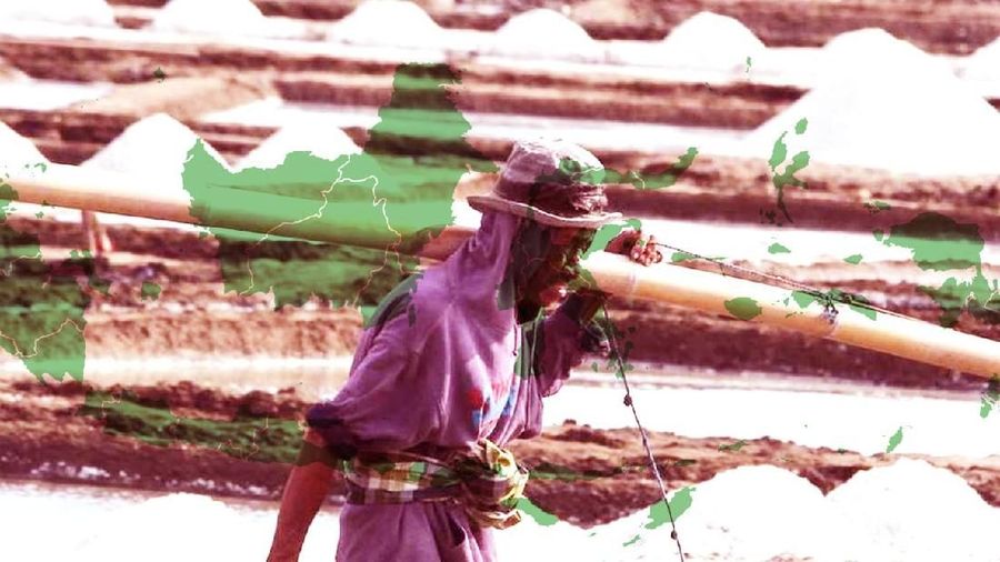[DALAM] Indonesia Mabuk Garam Impor