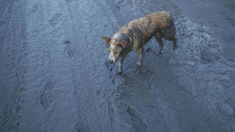 Kantor bencana setempat mengatakan telah mengevakuasi lebih dari 2.000 penduduk yang tinggal di pulau vulkanik tengah danau di dekat gunung tersebut.