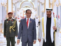 Jokowi Minta Pangeran UEA Jadi Penasihat Proyek Ibu Kota Baru