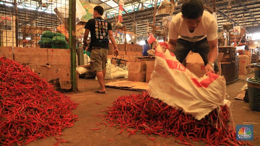 Sejak sepekan terakhir Januari 2010 harga cabai melonjak dari Rp 30.000 menjadi Rp60 ribu per kg.