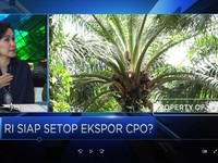 Gapki: Infrastruktur, Salah Satu Permasalahan Industri Sawit